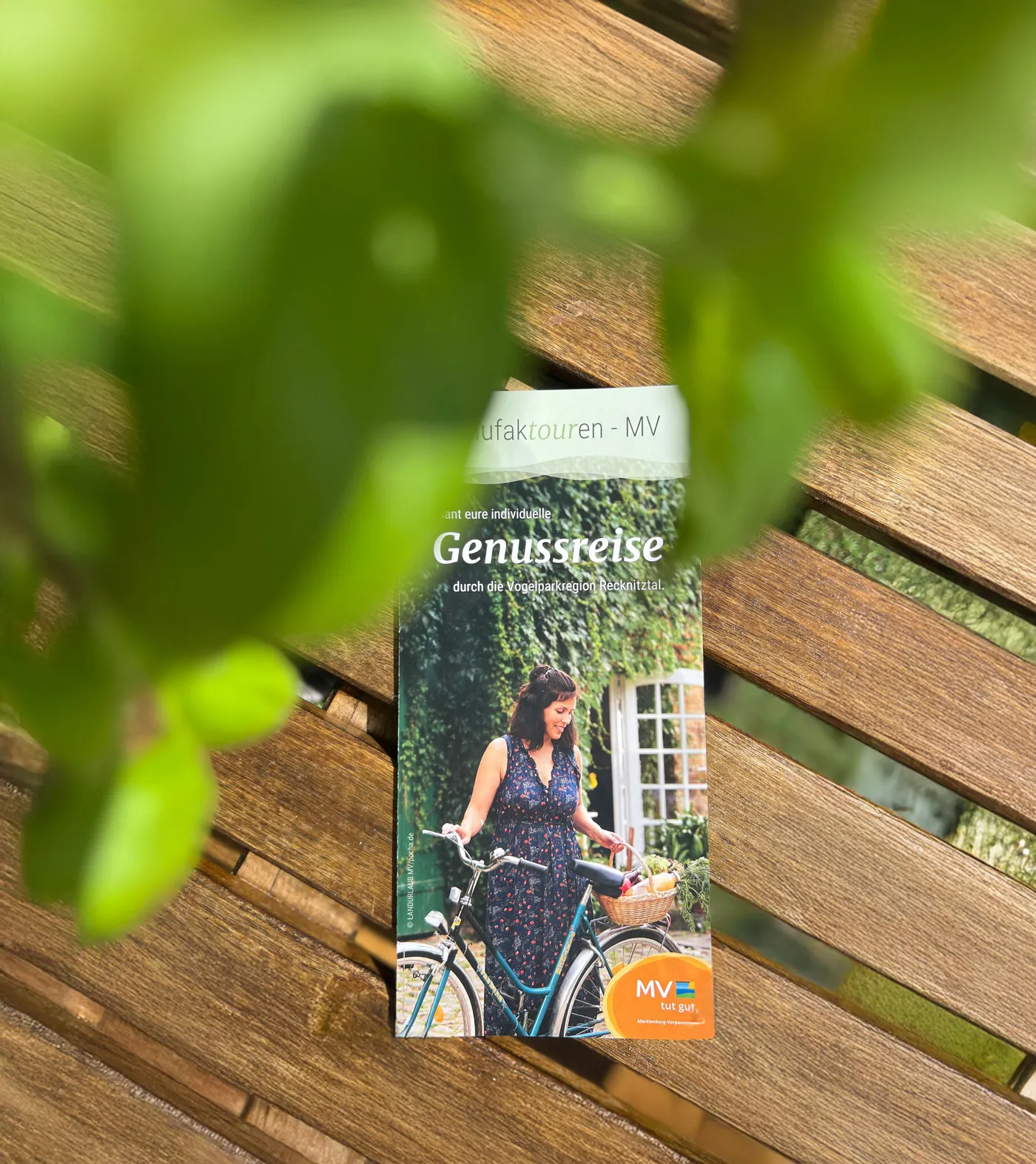 Flyer auf Holztisch mit unscharfer Pflanze im Vordergrund